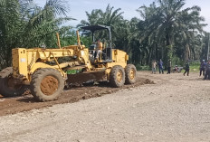 Respons Cepat Aspirasi Warga, Anggota DPRD Lamteng Hadi Purwanto Perbaiki Jalan Kampung Bumi Aji
