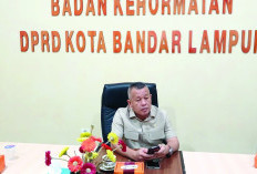 BK DPRD Bandar Lampung Klarifikasi Anggota Fraksi Golkar Terkait Proyek Revitalisasi Sekolah, Terancam Digeser