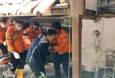 Tragis, Pria di Surabaya Tewas Diduga Digigit 10 Anjing Peliharaannya