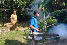 Cegah  Penyebaran DBD, Petugas Lakukan Pengasapan di Perumahan Kampoeng Eldorado 