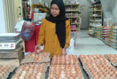 Giliran Telur Ayam Naik Harga 