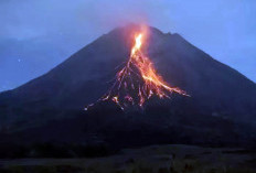 Gunung Merapi Luncurkan 15 kali Guguran Lava, Ini Jaraknya!