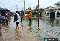  Banjir Rob Genangi Sejumlah Desa di Mesuji
