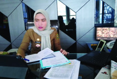 Investasi Bandar Lampung Tembus Rp3 Triliun, Lampaui Target 2025