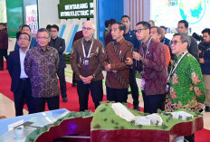 Di Hadapan Presiden Joko Widodo,  Dirut PLN Paparkan Pengembangan Hydropower di Tanah Air.