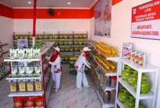  Koperasi Merah Putih Akan Diperkuat Tiga ASN 