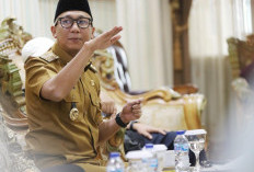 Gubernur Mirza Minta DPR RI Atur Ulang Tata Niaga Singkong