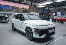 Hyundai Pamer Deretan Mobil Produksi Lokal 