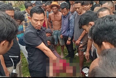 Pelaku Curanmor di Pringsewu Lepaskan Tembakan Berakhir Dapat Salam Olahraga dari Warga 