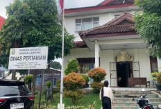 Dinas Pertanian Siapkan Vaksin PMK Tahun 2026