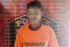 Jejak Ban Motor Jadi Petunjuk Sindikat Pencurian Sawit Terbongkar 