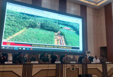 Kapolda Lampung: Isu Setoran Judi Sabung Ayam Tak Berdasar
