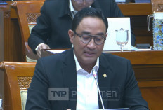 Rapat Kerja, DPR RI Cecar Kepala BNN Soal Whip Pink