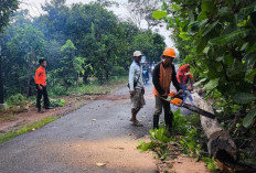 BPBD Metro Catat 12 Bencana Selama Lima Bulan 