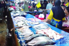 Jumlah Ikan Berkurang, Harga Naik