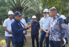 Dubes Uni Eropa Apresiasi PalmCo atas Komitmen terhadap Industri Sawit Berkelanjutan