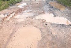 Jalan Penghubung Kampung Kaliawi-Kaliawi Indah Sudah 10 Tahun Rusak