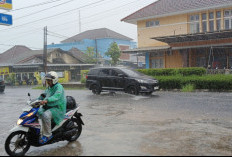 Lampung Juga Terdampak Aphelion, Dingin Diperkirakan hingga Agustus 