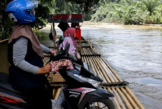 Lima Titik Jembatan Gantung di Pringsewu Diusulkan Dibangun 