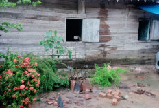 Hujan dan Angin Kencang Rusak Belasan Rumah di Tubaba