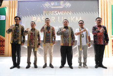 Pasar UMKM Wadah Yang Disiapkan Gubernur Arinal Untuk Etalase Produk Unggul UMKM Lampung 
