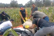 Seorang IRT di Lampung Timur Tewas Terbungkus Karung, Diduga Korban Pembunuhan 