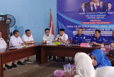 Di Demokrat, RMD Langsung Ambil dan Kembalilan Berkas Bacagub Lampung