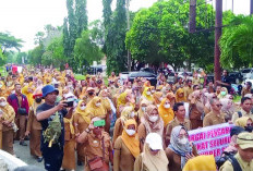Ribuan Tenaga Honorer di Lampung Unjuk Rasa