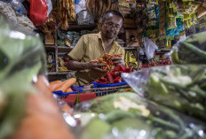Harga Pangan Naik, Ini Biang Kerok yang Bikin Dompet Jebol tiap Ramadan