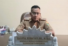 Kasus DBD di Tanggamus Meningkat,  Diskes Lakukan Pencegahan