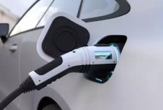  Penjualan Mobil Listrik Turun
