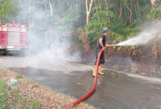 Lahan Perkebunan Karet Dekat Pemukiman di Menggala Tulangbawang Terbakar