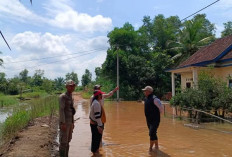 Sudah Lima Hari Banjir Rob Genangi Desa Panggung Rejo 