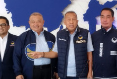 NasDem Usulkan IKN Jadi Ibu Kota Kaltim Jika Belum Siap Gantikan Jakarta