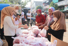 BI Lampung Prediksi Inflasi 2025 Tetap Terkendali di Rentang Sasaran