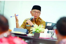 Setelah Instruksi Gubernur Lampung, Kemendag dan Kemenko Bahas Usulan Larangan Impor Singkong