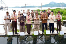  Pramuka SMA Al Kautsar Tanam 1.000 Mangrove 