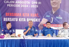Atensi DPP, Demokrat Tunjuk Tiga Ketua DPC Maju Pilkada 2024  