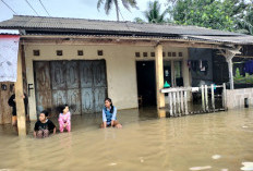 Akses Jalan Sempat Lumpuh, Puluhan Rumah di Negeri Ratu Ngambur Terendam Banjir