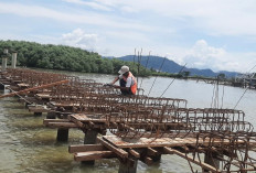 Pemkot Bandar Lampung Akan Percantik Jembatan Pulau Pasaran 