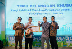 Jelang Kemerdekaan, PLN Gelar Temu Pelanggan Potensial: Energi Andal untuk Lampung Maju dan Berkelanjutan