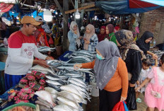 Hasil Tangkapan Menurun, Harga Ikan di Pasar Gudang Lelang Stabil