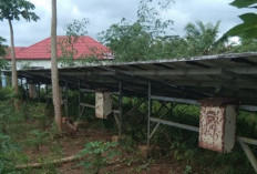  Eks PLTS di Pekon Bumiratu Terbengkalai