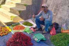 Harga Cabai Merah di Lambar Tembus Rp65 Ribu per Kg 