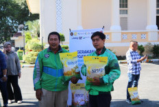 Holding Perkebunan Nusantara Dorong Program SPHP, PalmCo Salurkan 195 Ton Beras Murah di 107 Titik