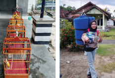 Saat Wanita Hobi Kicau Mania, Jadikan Konten hingga Menangi Lomba 
