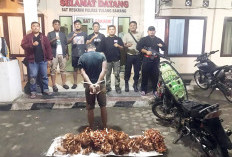 Spesialis Pencuri Kabel PLN di Tulang Bawang Ditangkap Polisi, Ternyata Residivis