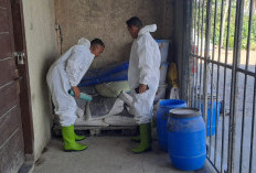 Eks Sekuriti di Lamsel Curi Jagung Demi Depo Judol 