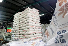  Stok Cadangan Beras di Bulog Capai 4 Juta Ton