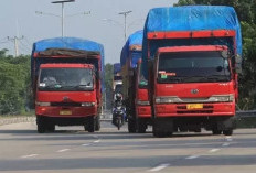 Kaji Ulang Aturan Impor Truk CBU asal Tiongkok!